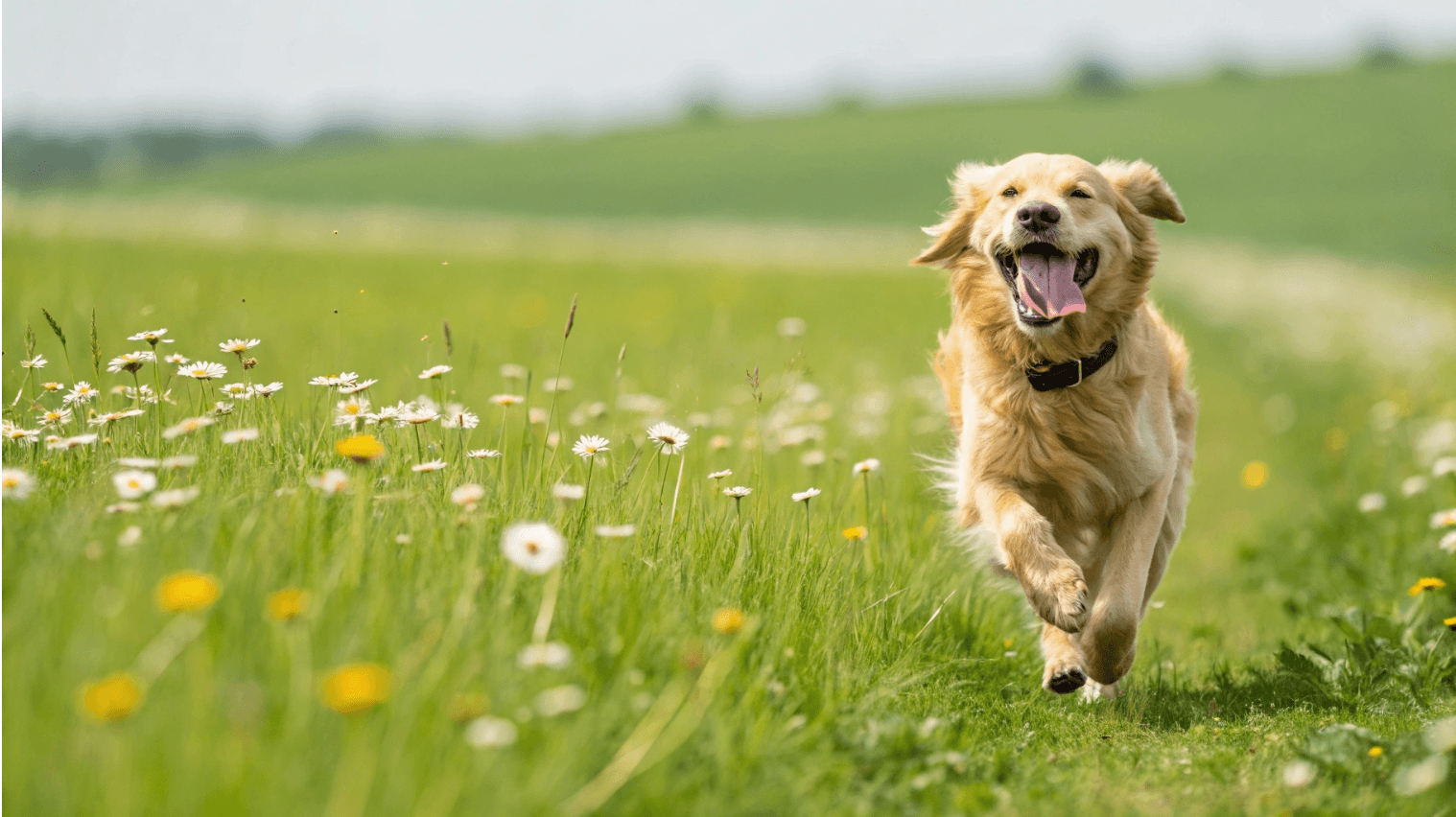 ホテルリブマックス広島平和公園前 写真4