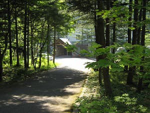 風木立の川辺 紫明館 写真2
