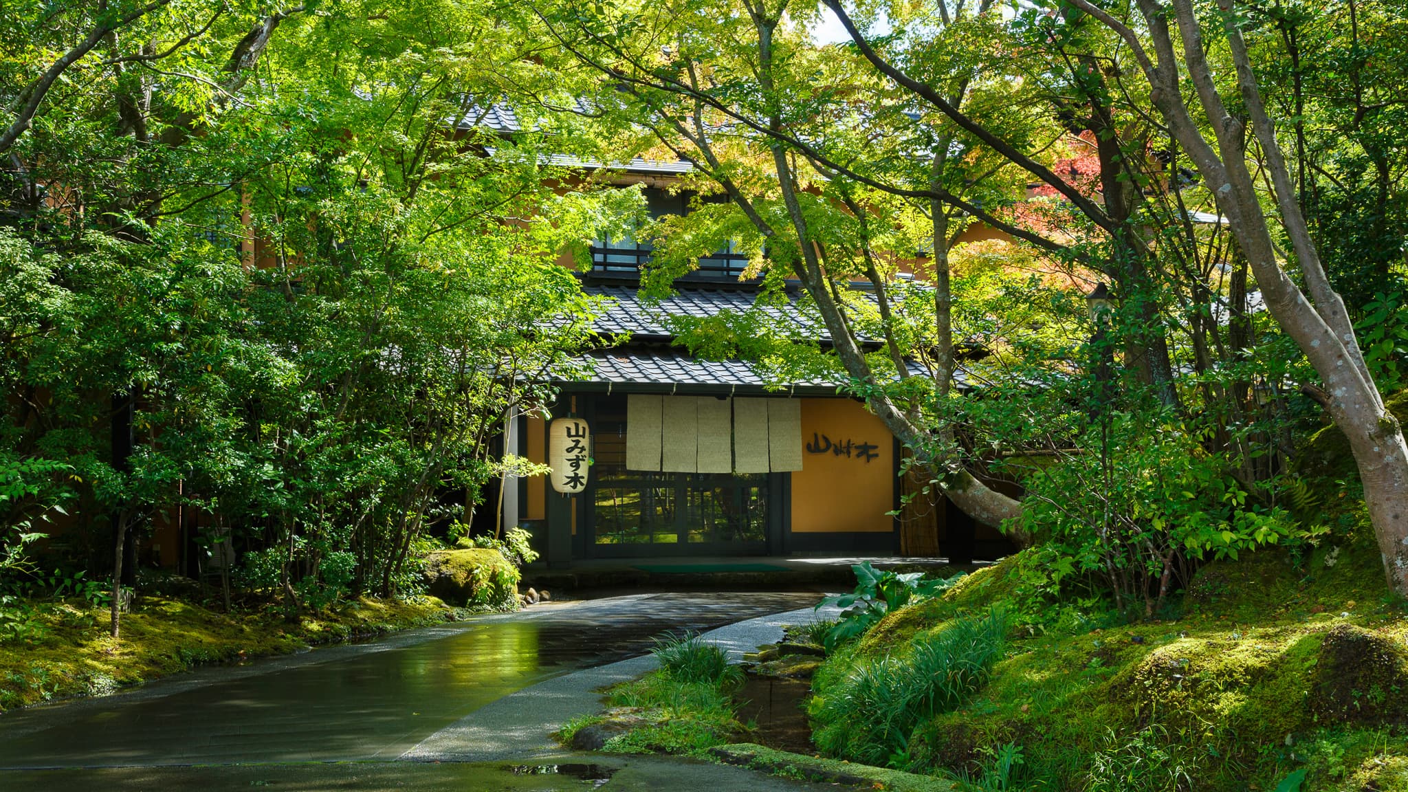 山みず木 写真2