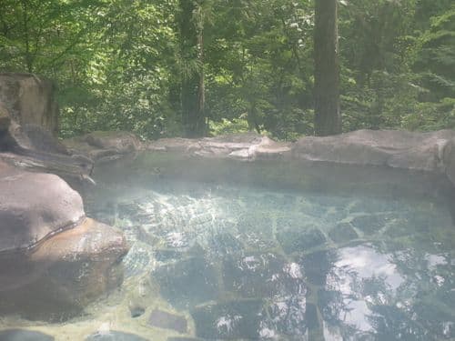 ゆ宿 おさんぽ日和 写真2