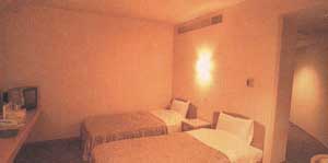 天然温泉ホテルリブマックスBUDGET甲府 写真2