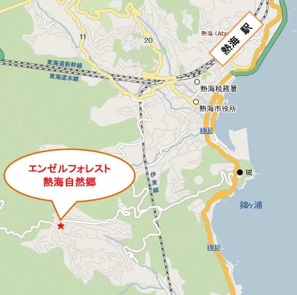 フォレスト 写真3