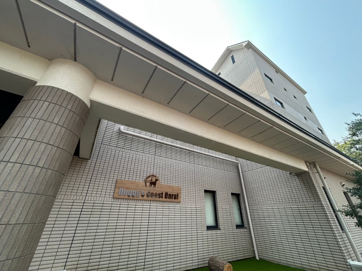 Doggy’s Coast Oarai