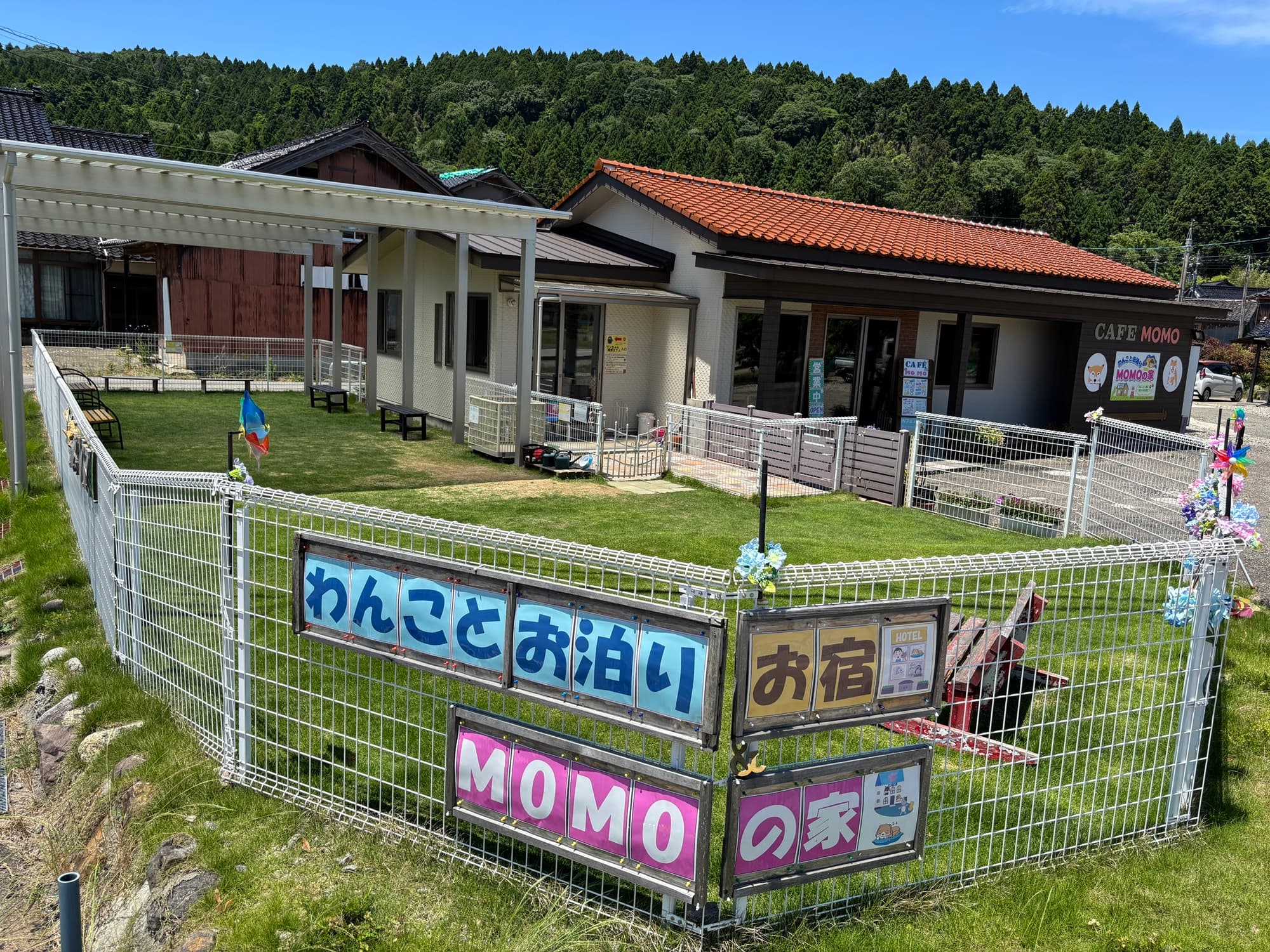 わんことお泊りMOMOの家