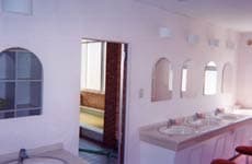 武尊高原 白樺 写真2