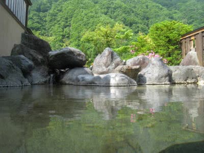 奥飛騨温泉郷 ペットと泊まれる素泊まり温泉宿 こんじ旅館 写真2