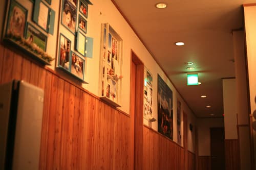 プチホテル グラスハウス 写真2