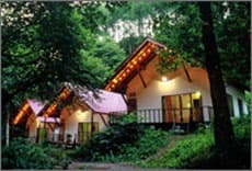 桜清水コテージ