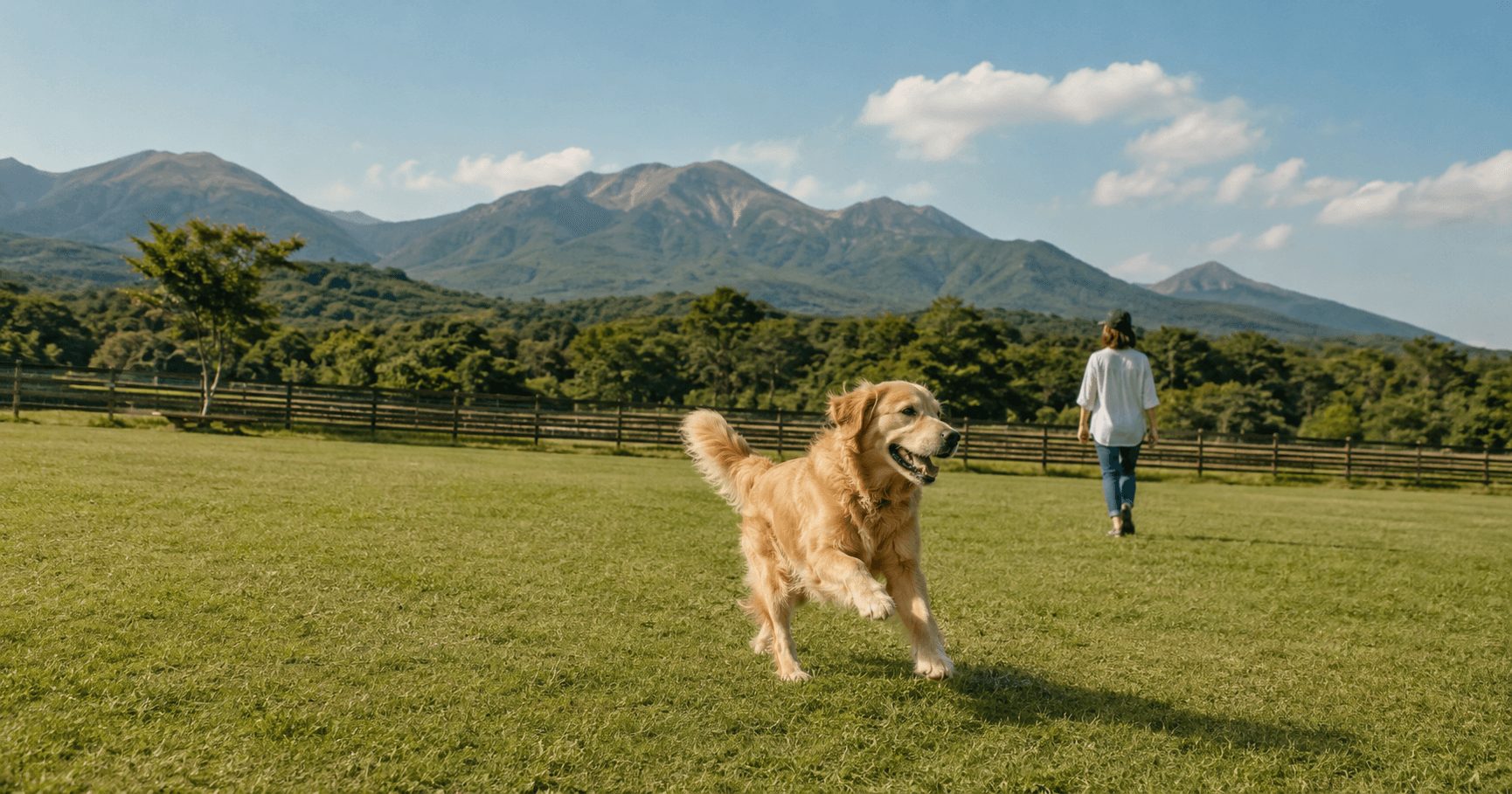 【那須】犬と泊まれる宿83軒|サイズ・設備・予算別完全ガイド