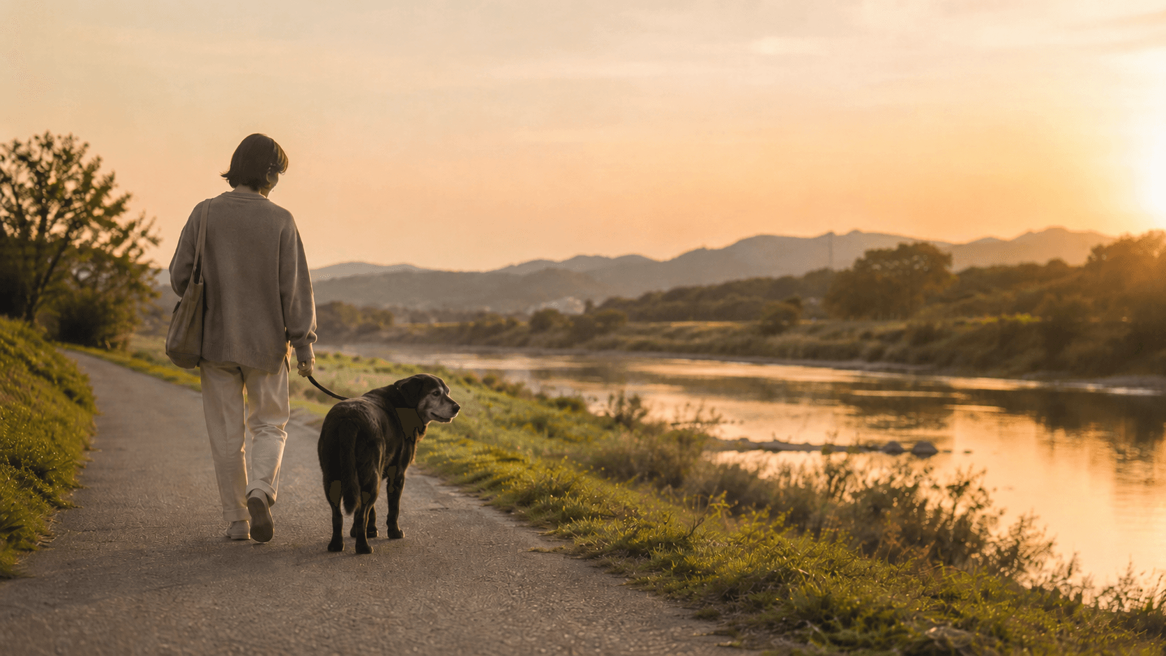 シニア犬と旅行する際のポイント|宿選び・移動・健康管理